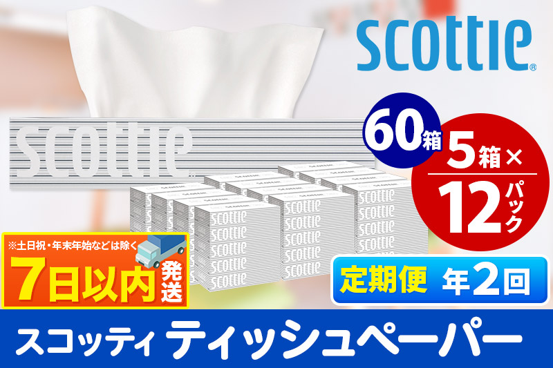 《6ヶ月ごとに2回お届け》定期便 ティッシュペーパー スコッティ 200組 60箱(5箱×12パック) ティッシュ レビューキャンペーン中 7日以内発送