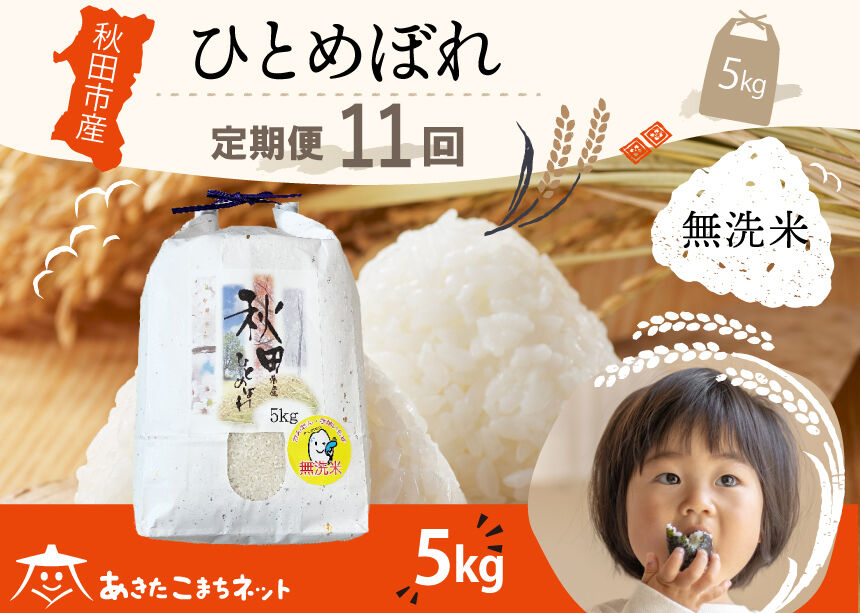 《定期便11ヶ月》ひとめぼれ 5kg 【無洗米】秋田市産 [秋田県産 ひとめぼれ お米 精米 定期便 5kg 5キロ]