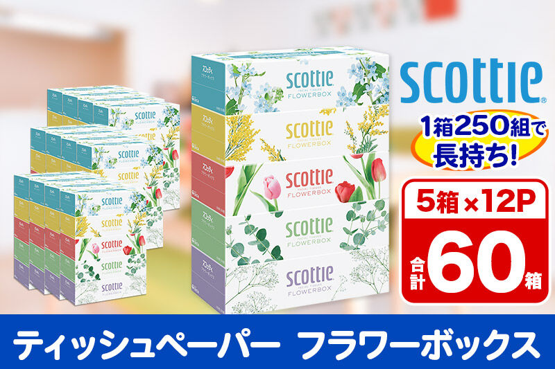 ティッシュペーパー スコッティ フラワーボックス250組 60箱(5箱×12パック) ティッシュ 日用品  [ティッシュ ボックスティッシュ]