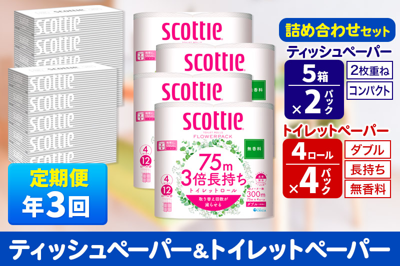 《4ヶ月ごとに3回お届け》定期便 トイレットペーパー スコッティ 3倍長持ち 無香料 4ロール(ダブル)×4P ＆ ティッシュペーパー スコッティ10箱(5箱×2P) 秋田市オリジナル【レビューキャンペーン中】