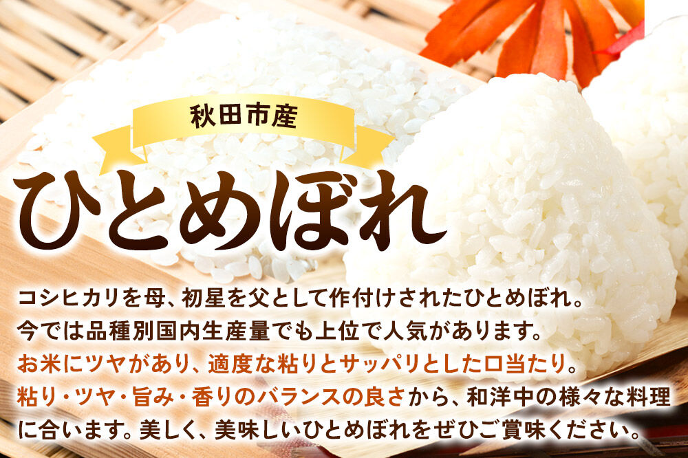 【数量限定】令和8年産 新米受付《定期便6ヶ月》ひとめぼれ 5kg 【無洗米】秋田市産 [新米 受付 秋田県産 ひとめぼれ お米 精米 定期便 5kg 5キロ]