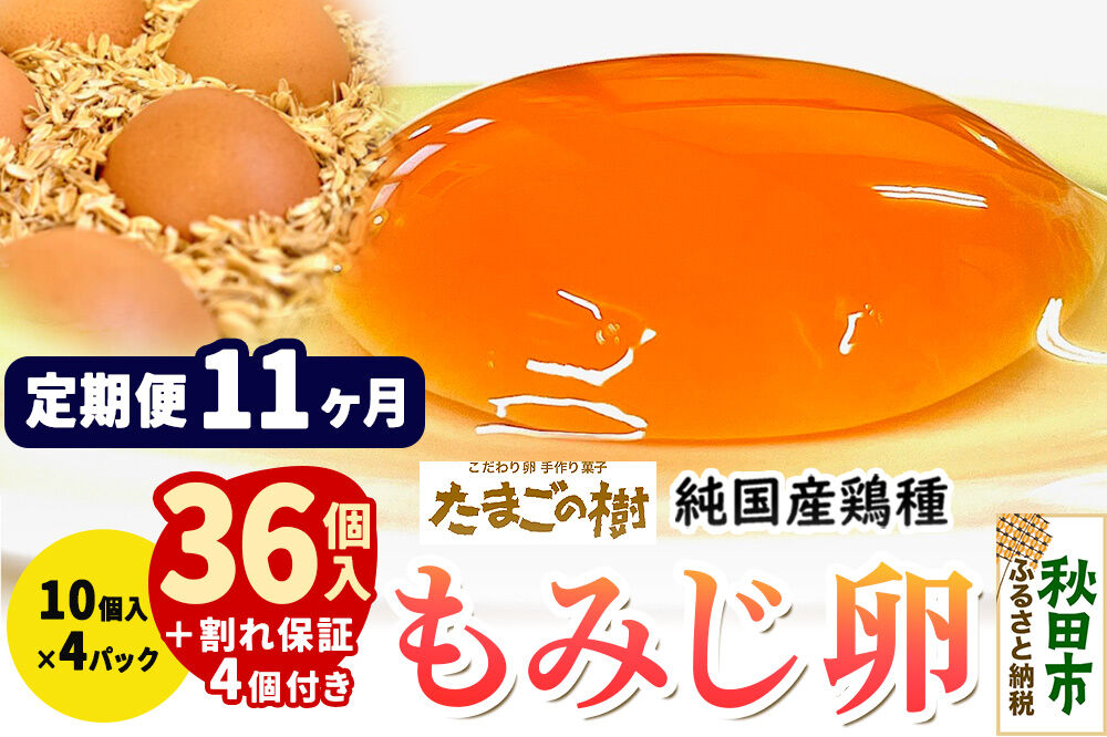 《定期便11ヶ月》 たまごの樹 純国産鶏種 卵『もみじ』36個+割れ保証4個付き（10個入×4パック） [たまご タマゴ 玉子 鶏卵 まとめ買い オムレツ 卵かけご飯 朝食 料理 美味しい 瀧田養鶏場]
