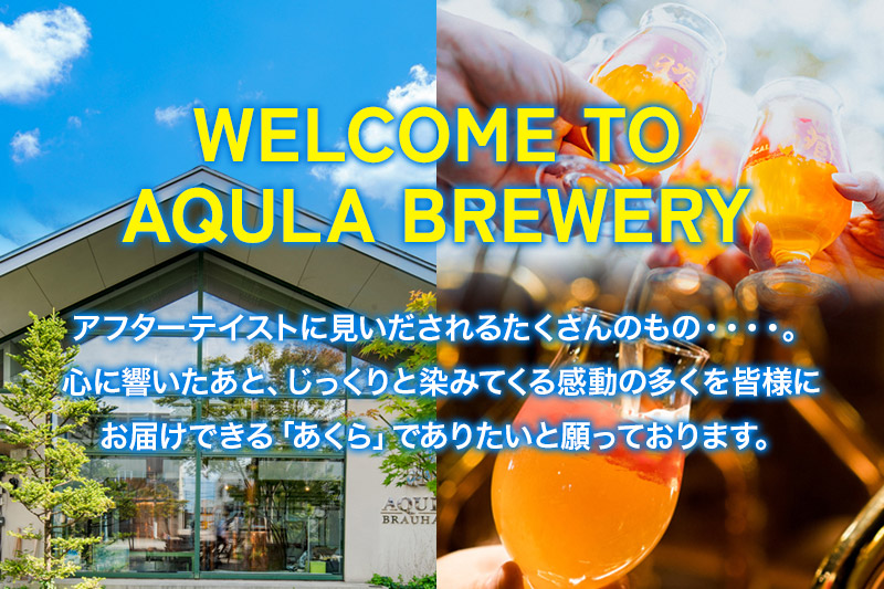 《定期便6ヶ月》【秋田の地ビール】秋田あくらビール国際審査会受賞ビール5種×6本セット(330ml×計6本) クラフトビール 飲み比べ