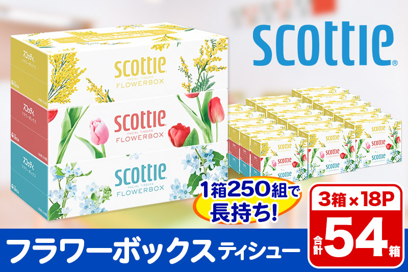 ãã£ãã·ã¥ããŒã㌠ã¹ã³ãã㣠ãã©ã¯ãŒããã¯ã¹250çµ 54ç®±(3ç®±Ã18ããã¯) æ¥çšå