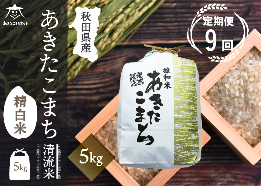 《定期便9ヶ月》あきたこまち 清流米 5kg【白米】 秋田市雄和産 [秋田県産 あきたこまち お米 精米 定期便 5kg 5キロ]