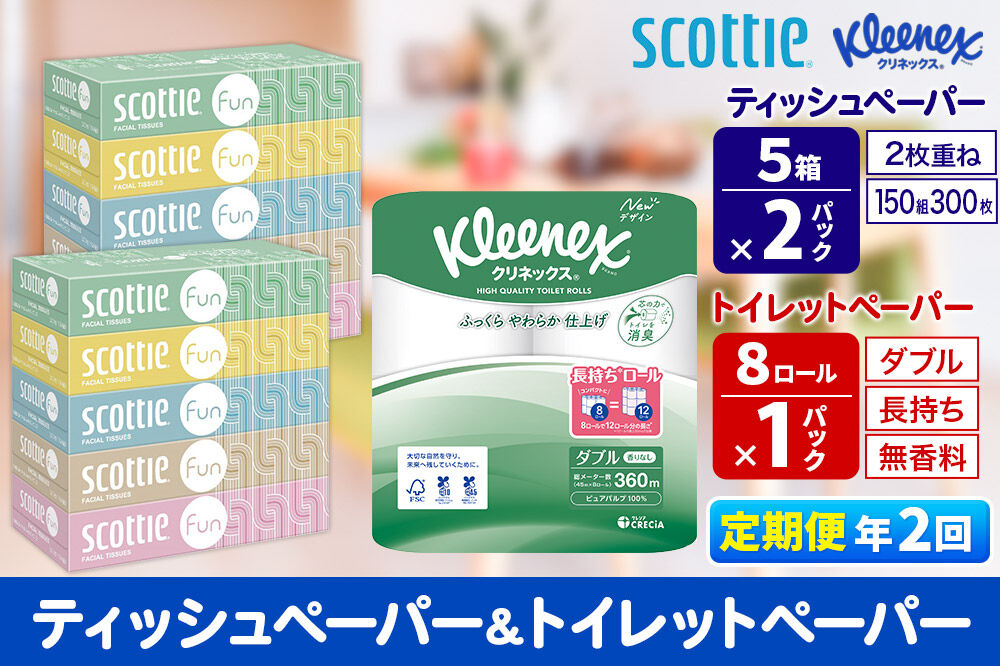 《6ヶ月ごとに2回お届け》定期便 クリネックス トイレットペーパー 長持ちロール ダブル 8ロール×1パック ＆ ティッシュペーパー スコッティ ファン 150組 5箱×2パック 秋田市オリジナル 新生活 [トイレットペーパー ティッシュ ボックスティッシュ]