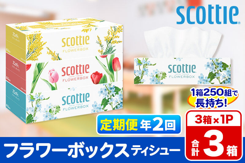 《6ヶ月ごとに2回お届け》定期便 ティッシュペーパー スコッティ ティシュー フラワーボックス 250組 3箱パック×1パック 秋田市オリジナル [ティッシュ ボックスティッシュ]