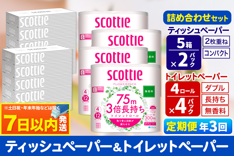 《4ヶ月ごとに3回お届け》定期便 トイレットペーパー スコッティ 3倍長持ち 無香料 4ロール(ダブル)×4P ＆ ティッシュペーパー スコッティ10箱(5箱×2P) 秋田市オリジナル