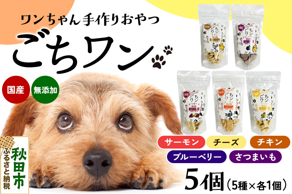 わんちゃん手づくりおやつ「ごちワン」トリーツ5種セット（サーモン／チーズ／ブルーベリー／チキン／さつまいも）国産ヘルシートリーツ ドッグフード 無着色・無香料 [トリーツ 犬 犬のおやつ 国産 ペット用 ペットフード]
