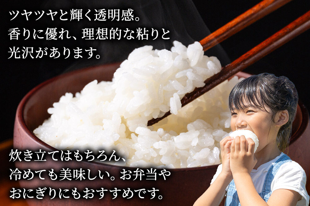 米《定期便5ヶ月》あきたこまち【白米】 米どころ秋田県産 令和7年産 精米 15kg（5kg×3袋） [米 お米 こめ 白米 精米 あきたこまち ブランド米 小分け ご飯 ごはん 米どころ 秋田県産 5kg袋]