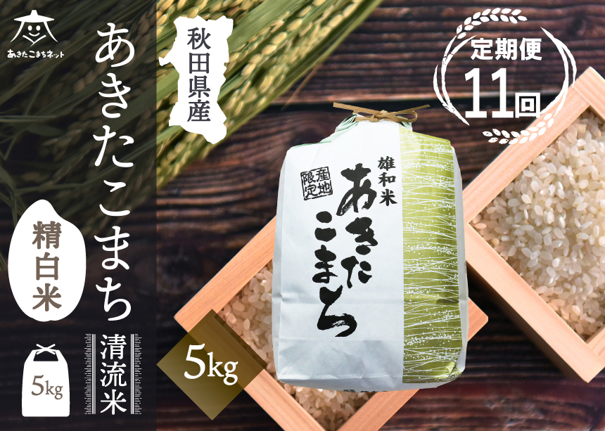 《定期便11ヶ月》あきたこまち 清流米 5kg【白米】 秋田市雄和産 [秋田県産 あきたこまち お米 精米 定期便 5kg 5キロ]