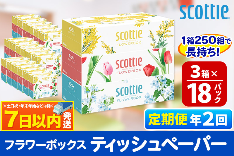 《6ヶ月ごとに2回お届け》定期便 ティッシュペーパー スコッティ フラワーボックス250組 54箱(3箱×18パック)  レビューキャンペーン中 7日以内発送