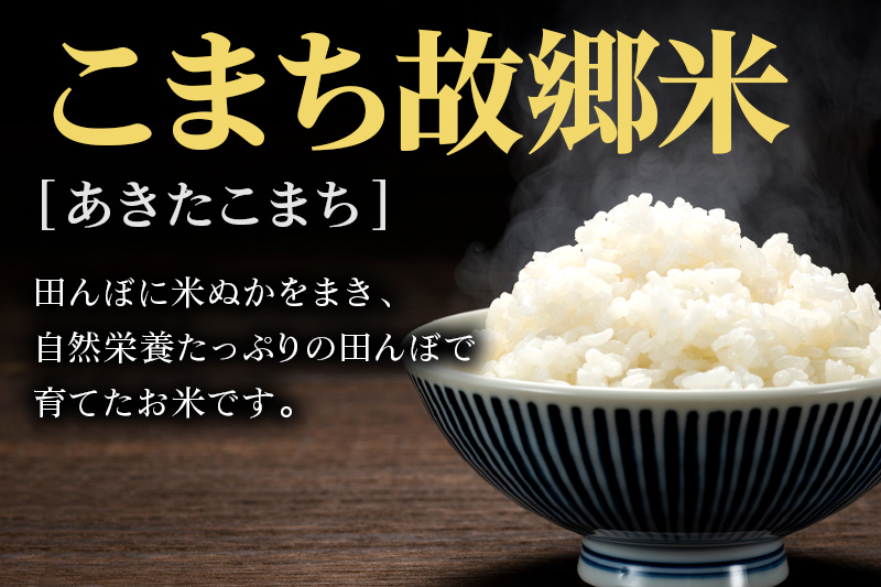 米 こまち故郷米 ＜ あきたこまち ＞ 白米 10kg (5kg×2袋) 令和7年産 [米 白米 あきたこまち 秋田県 秋田市]