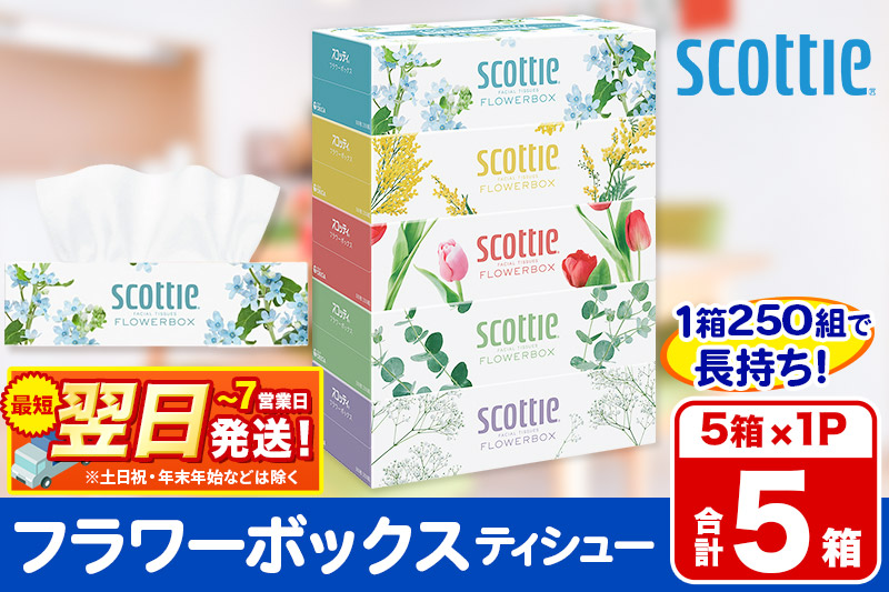 スコッティ ティッシュペーパー フラワーボックス 5箱×1パック 秋田市オリジナル 最短翌日発送