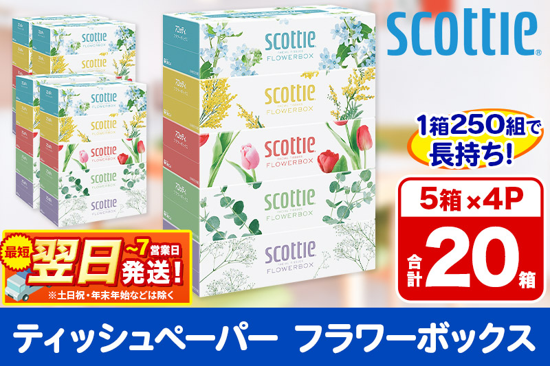 最短翌日発送ティッシュペーパー スコッティ フラワーボックス250組 20箱(5箱×4パック) ティッシュ 秋田市オリジナル  最短翌日発送