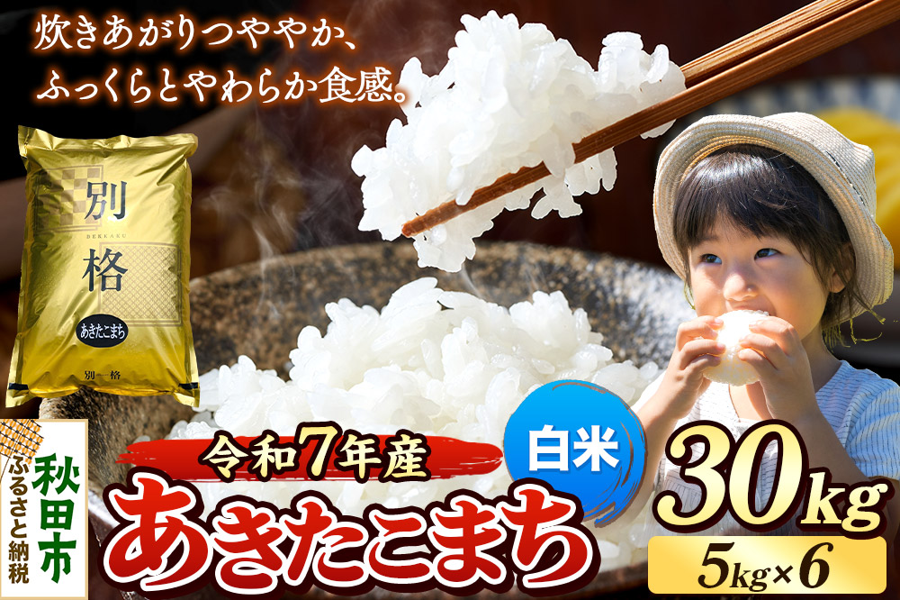《令和7年産》 米 あきたこまち 30kg（5kg×6袋） 【白米】 秋田県産
