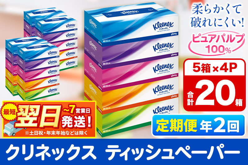 《6ヶ月ごとに2回お届け》定期便 ティッシュ クリネックス 20箱 5箱×4パック 秋田市オリジナル 最短翌日発送 【レビューキャンペーン中】