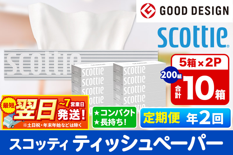 《6ヶ月ごとに2回お届け》定期便 ティッシュペーパー スコッティ 200組 10箱(5箱×2パック) ティッシュ 秋田市オリジナル【レビューキャンペーン中】