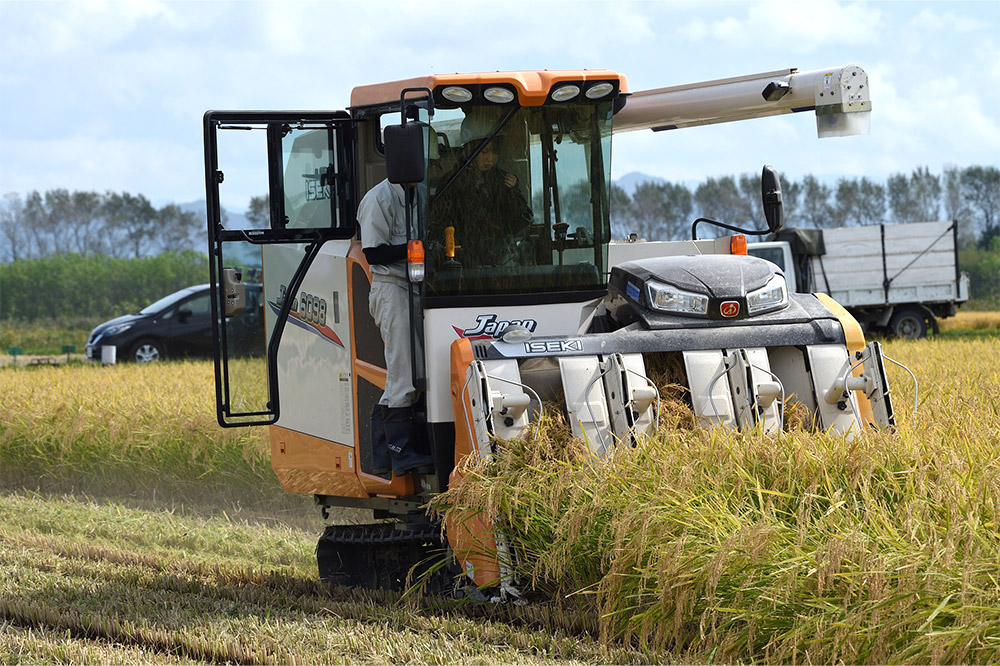 譌・譛ャ驟 驫魍 縺弱s繧翫s 邏皮アウ蜷滄ク 遨カシKIWAMUシ720mlテ1譛ャ
