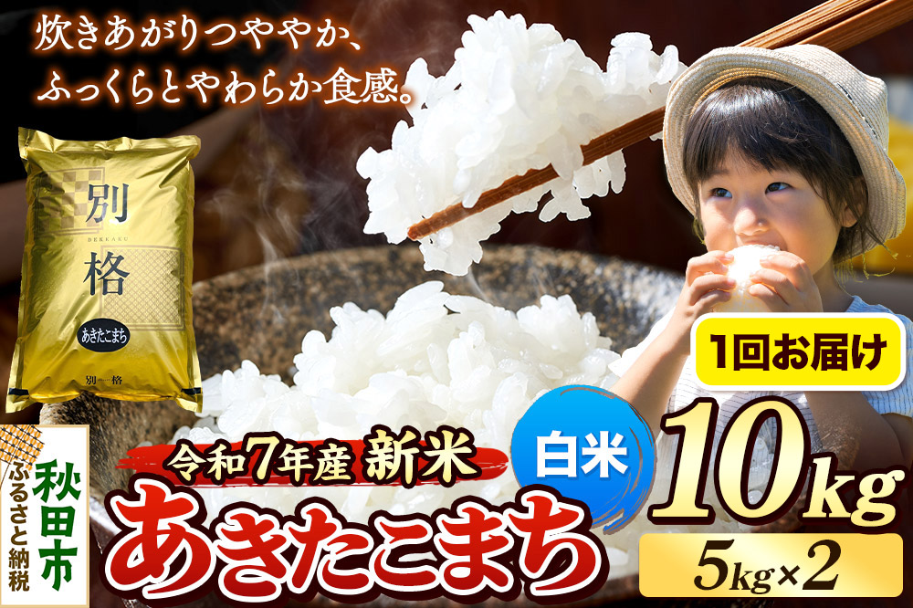 《令和7年産 新米》 米 あきたこまち 10kg（5kg×2袋） 【白米】 秋田県産