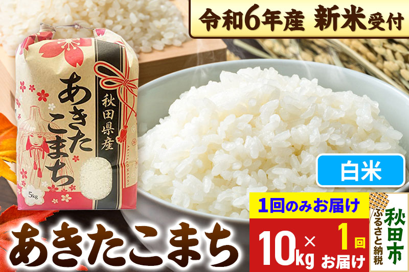 《新米先行受付》あきたこまち 10kg(5kg×2袋) 【1回のみお届け】【白米】秋田県産 令和6年産 こまちライン