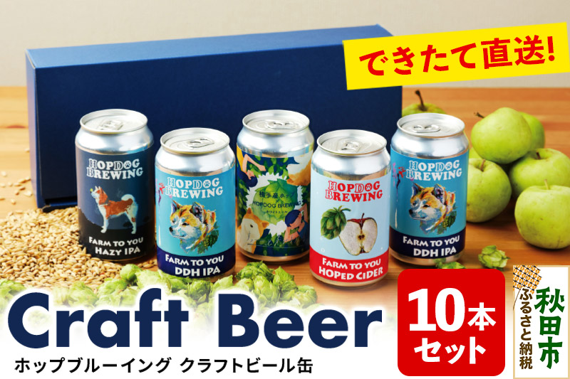 【できたて直送！】クラフトビール缶 10本セット(5本セット×2箱)【ホップドッグブルーイング】