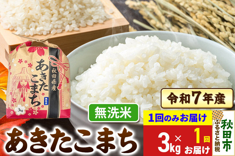 あきたこまち 3kg 令和7年産 【1回のみお届け】【無洗米】秋田県産