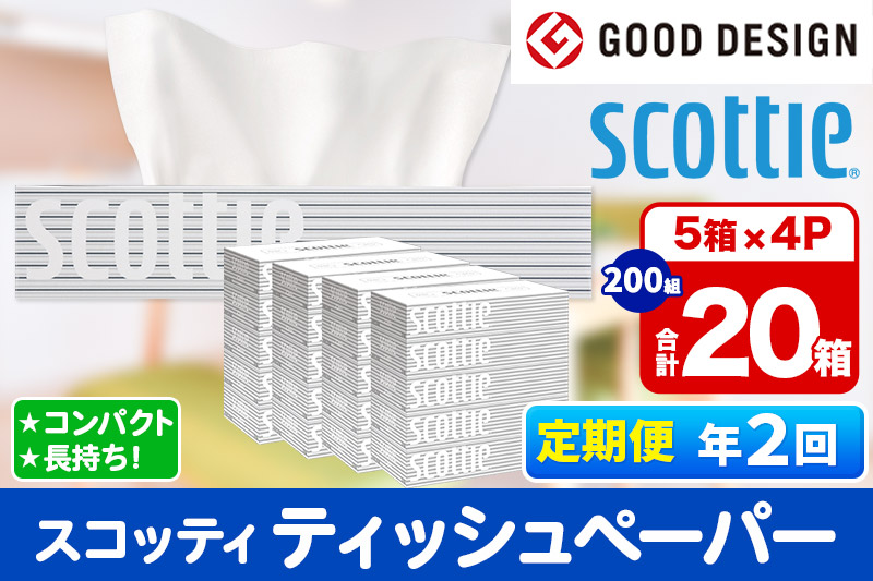 《6ヶ月ごとに2回お届け》定期便 ティッシュペーパー スコッティ 200組 20箱(5箱×4パック) ティッシュ 秋田市オリジナル【レビューキャンペーン中】