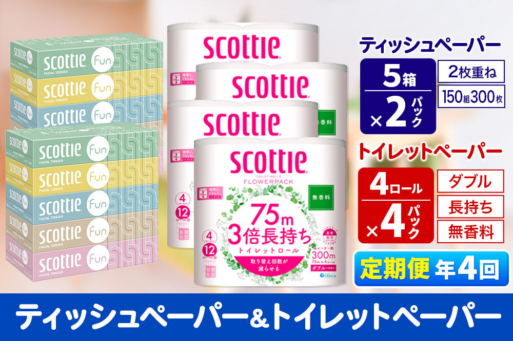 《3ヶ月ごとに4回お届け》定期便 ティッシュペーパー スコッティ ファン 150組 5箱×2パック ＆ スコッティトイレットペーパー ダブル 無香料 3倍長持ち4ロール×4パック 秋田市オリジナル 新生活 [トイレットペーパー ティッシュ ボックスティッシュ]