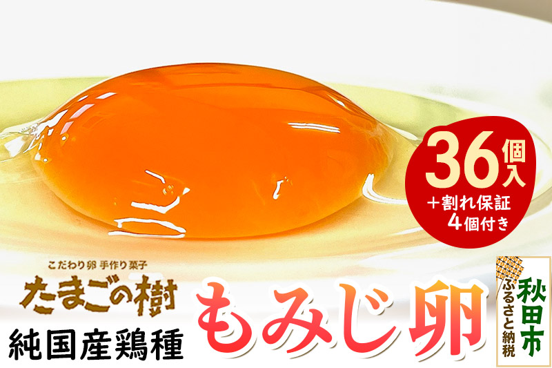 たまごの樹 純国産鶏種『もみじ卵』36個+割れ保証4個付き（10個入×4パック）