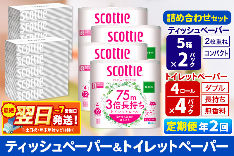 《6ヶ月ごとに2回お届け》定期便 トイレットペーパー スコッティ 3倍長持ち 無香料 4ロール(ダブル)×4P ＆ ティッシュペーパー スコッティ10箱(5箱×2P) 秋田市オリジナル【レビューキャンペーン中】