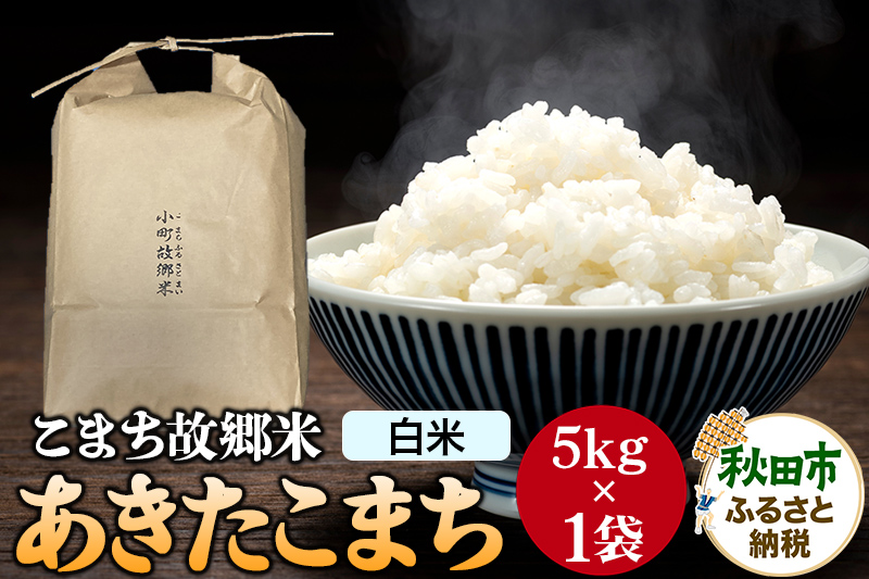 米 こまち故郷米 ＜ あきたこまち ＞ 白米 5kg ×1袋 令和6年産