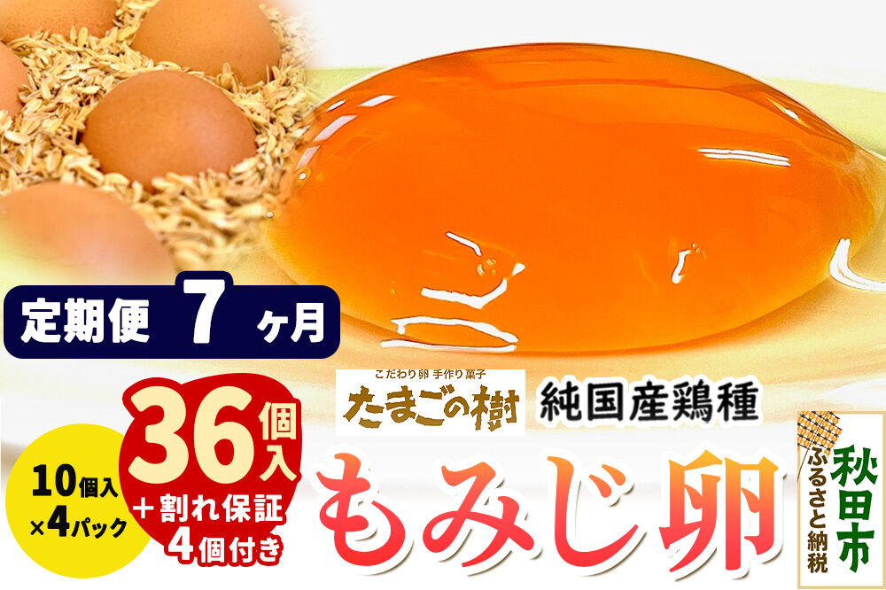 《定期便7ヶ月》 たまごの樹 純国産鶏種 卵『もみじ』36個+割れ保証4個付き（10個入×4パック） [たまご タマゴ 玉子 鶏卵 まとめ買い オムレツ 卵かけご飯 朝食 料理 美味しい 瀧田養鶏場]