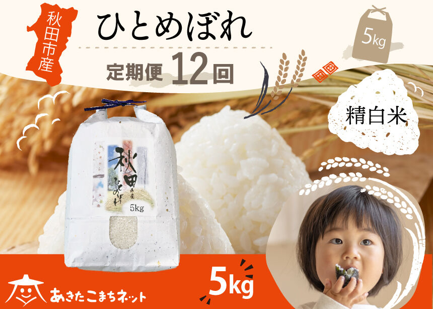 《定期便12ヶ月》ひとめぼれ 5kg 【白米】 秋田市産 [秋田県産 ひとめぼれ お米 精米 定期便 5kg 5キロ]