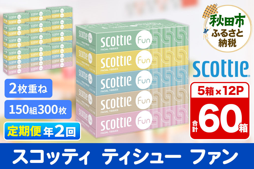 《6ヶ月ごとに2回お届け》定期便 ティッシュペーパー スコッティ ティシュー ファン 150組 5箱×12パック [ティッシュ ボックスティッシュ]