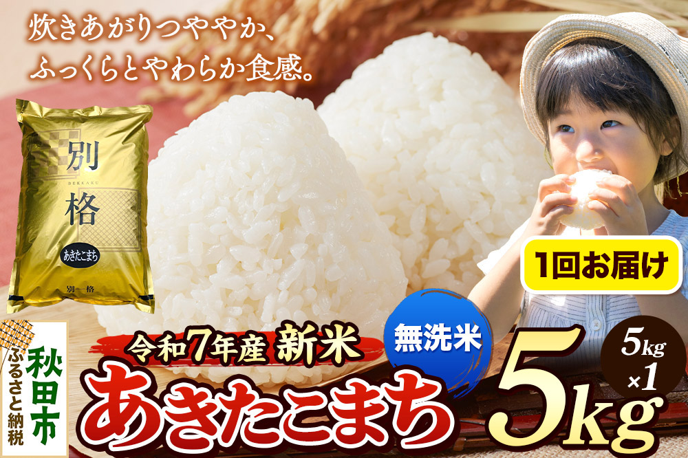 《令和7年産 新米》 米 あきたこまち 5kg 【無洗米】 秋田県産