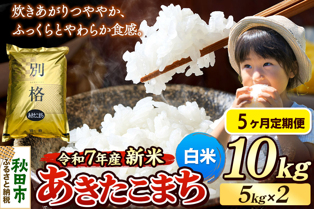 《令和7年産 新米》《定期便5ヶ月》 米 あきたこまち 10kg（5kg×2袋） 【白米】 秋田県産