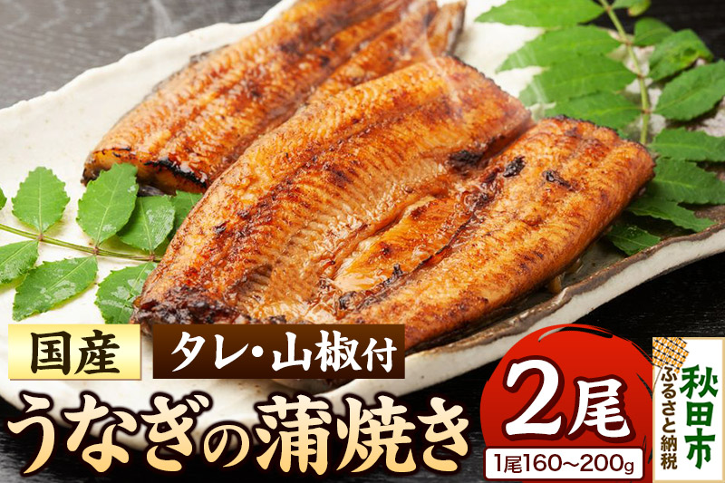 うなぎ うなぎ蒲焼き 160〜200g× 2尾 (タレ・山椒付き) 仕出しのせきや 鰻 土用の丑の日 国産