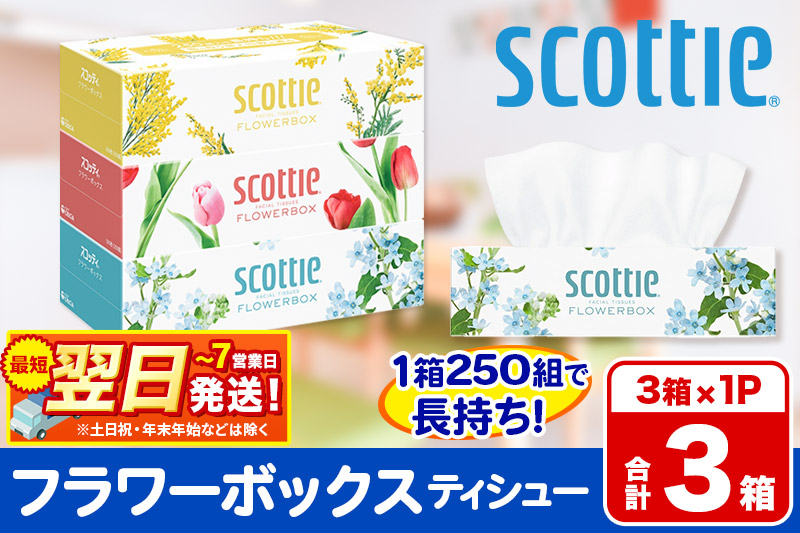 ティッシュペーパー スコッティ ティシュー フラワーボックス 250組 3箱パック×1パック 秋田市オリジナル 最短翌日発送