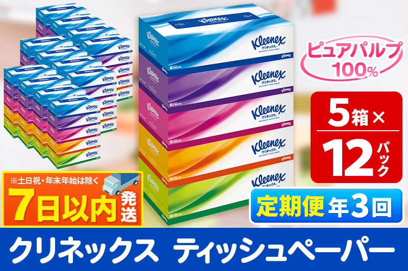 《4ヶ月ごとに3回お届け》定期便 ティッシュ クリネックス ティシュー 5箱×12パック レビューキャンペーン中 7日以内発送