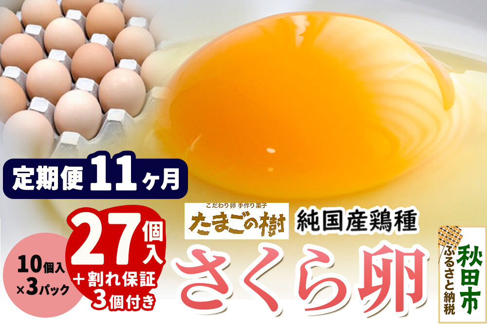 《定期便11ヶ月》 たまごの樹 純国産鶏種 卵『さくら』27個+割れ保証3個付き（10個入×3パック） [たまご タマゴ 玉子 鶏卵 まとめ買い オムレツ 卵かけご飯 朝食 料理 美味しい 瀧田養鶏場]
