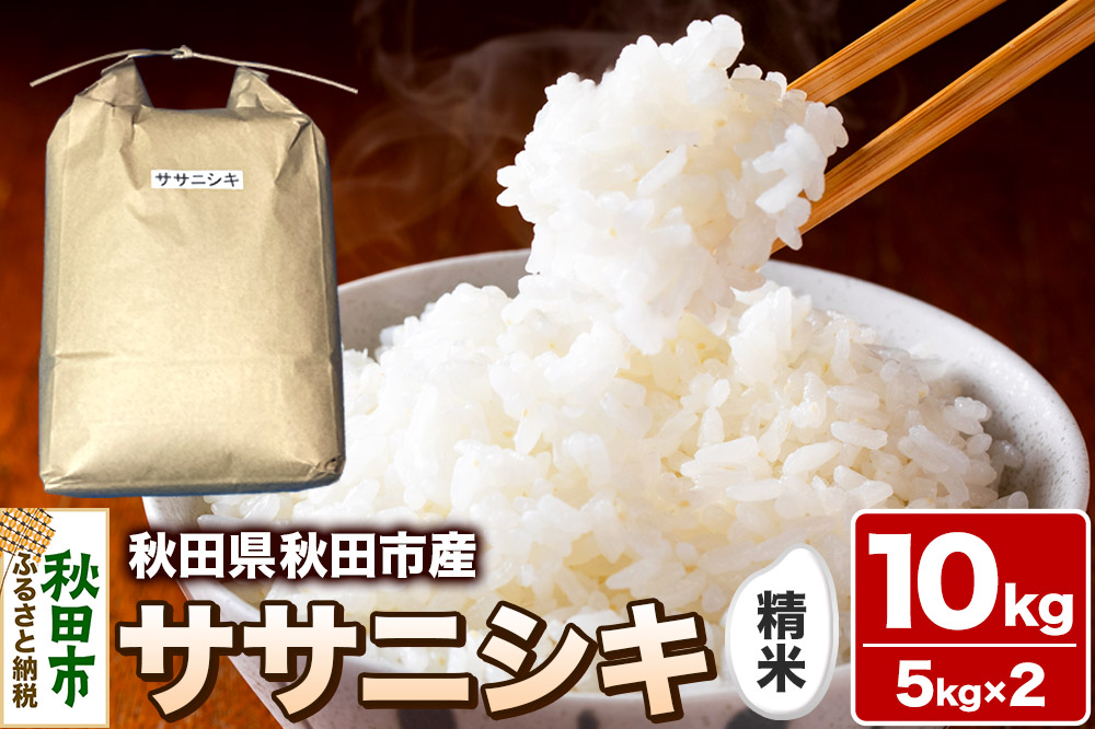 令和7年産 秋田県 秋田市産 ササニシキ 精米 10kg(5kg×2袋)  白米 米