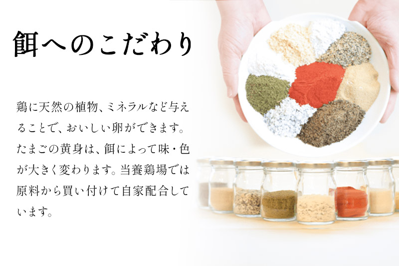 たまごの樹 純国産鶏種『もみじ卵』36個+割れ保証4個付き（10個入×4パック）