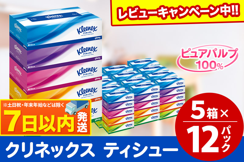 ティッシュ クリネックス ティシュー 5箱×12パック レビューキャンペーン中 日用品 7日以内発送