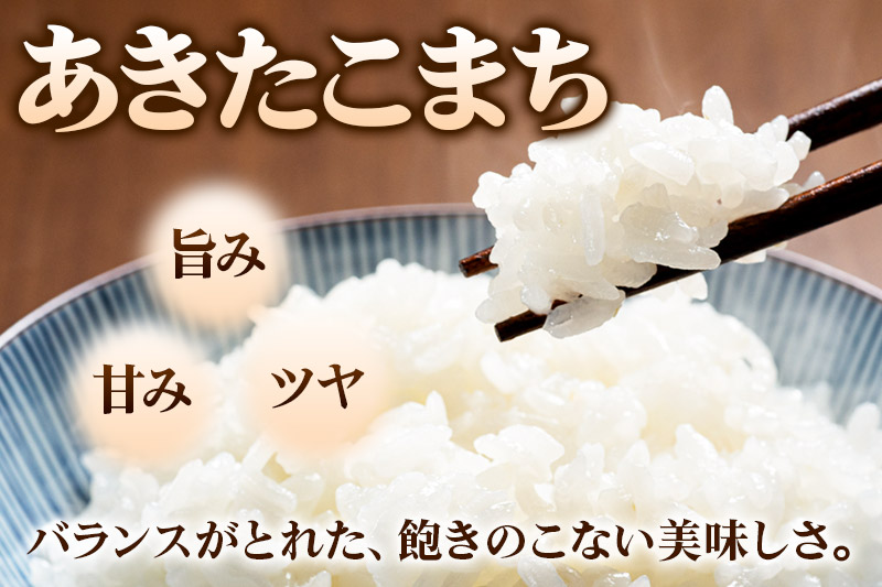 米 あきたこまち 5kg 令和7年産 白米 田口商店 農家直送 秋田県産