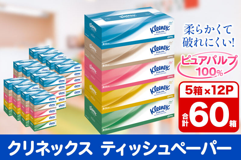ティッシュ クリネックス ティシュー 5箱×12パック 日用品 [ティッシュ ボックスティッシュ]