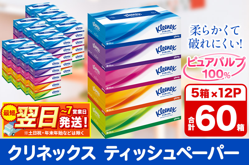 ティッシュ クリネックス ティシュー 5箱×12パック 日用品 最短翌日発送