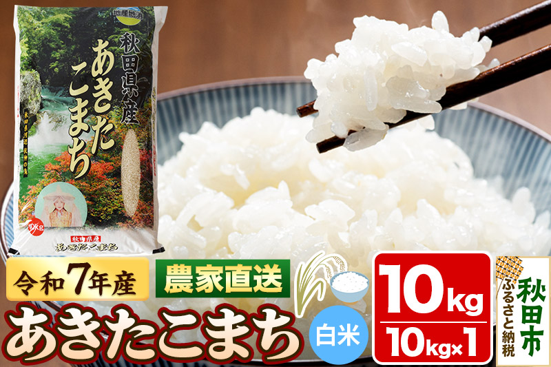 米 あきたこまち 10kg 令和7年産 白米 田口商店 農家直送 秋田県産