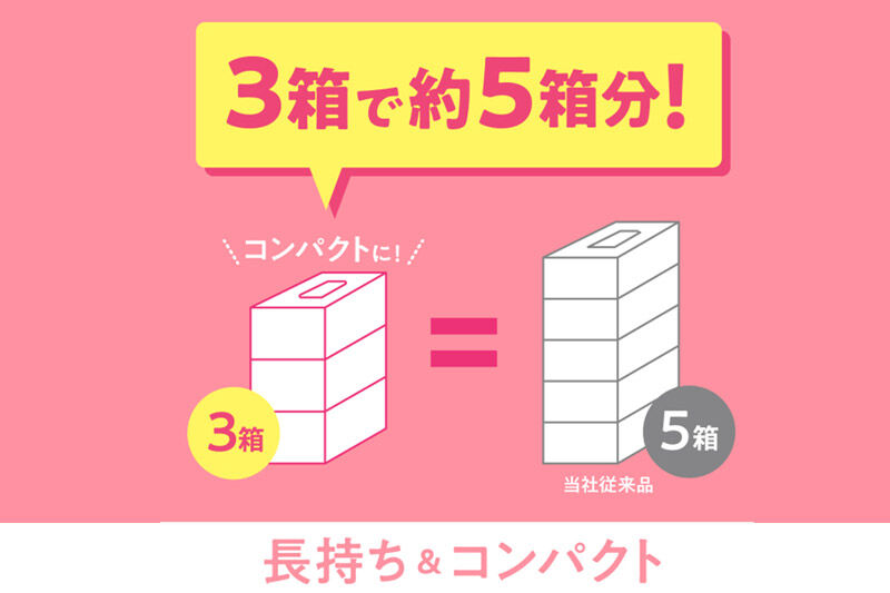 《6ヶ月ごとに2回お届け》定期便 ティッシュペーパー スコッティ ティシュー フラワーボックス 250組 3箱パック×1パック 秋田市オリジナル [ティッシュ ボックスティッシュ]