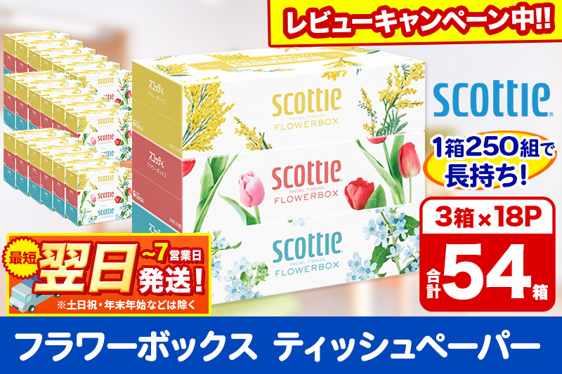 ティッシュペーパー スコッティ フラワーボックス250組 54箱(3箱×18パック)  日用品 最短翌日発送【レビューキャンペーン中】